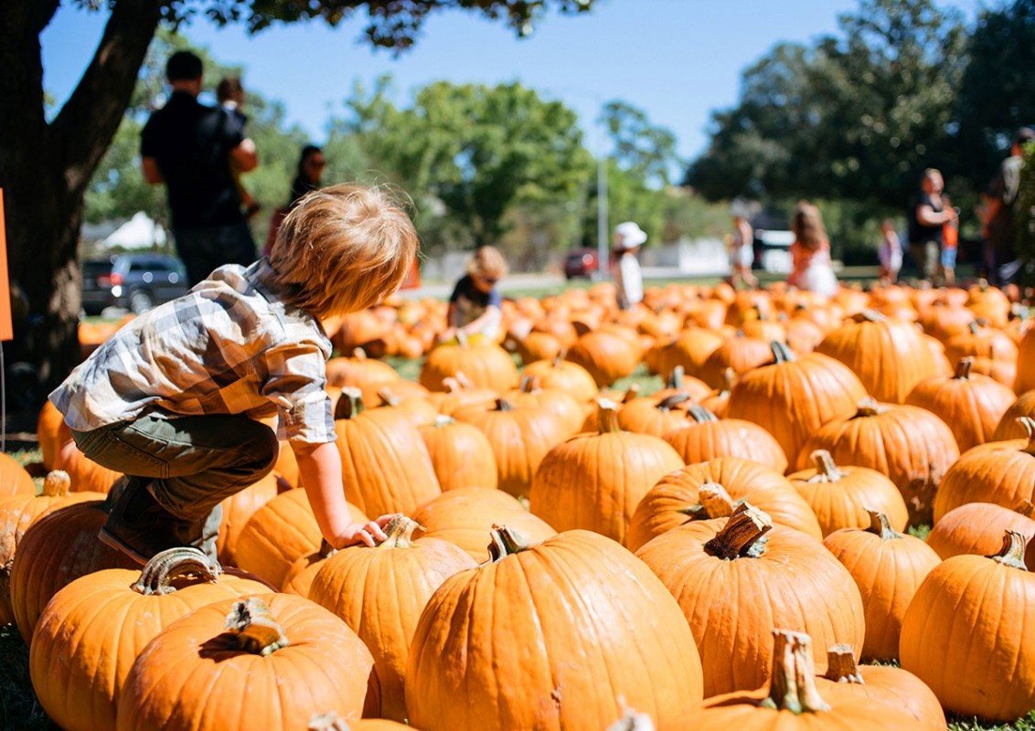 pumpkin-patch-at-st-luke-s-united-methodist-church-the-buzz-magazines